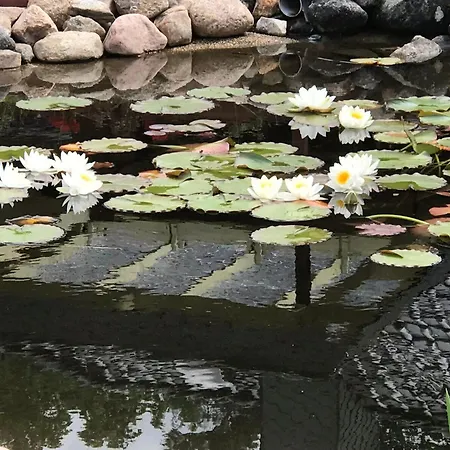 Ferienhaus-elbe-ilenpool Блеккеде