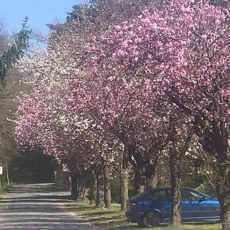 Дом отдыха Ferienhaus-elbe-ilenpool Блеккеде